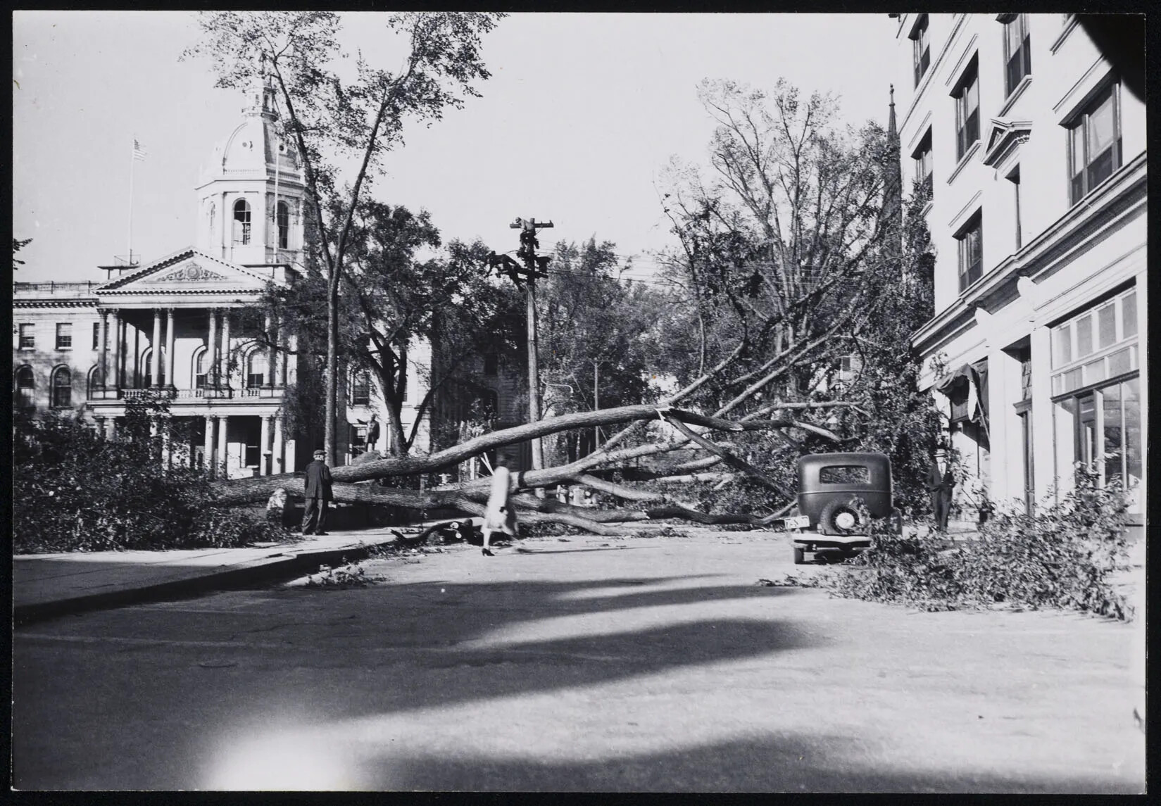 A black and white photograph of a large tree that has fallen across a small road. The road lies between two large buildings. There is a man standing, looking at the tree, a woman walking across the street, and another man standing, looking at the camera. The street is littered with tree branches.