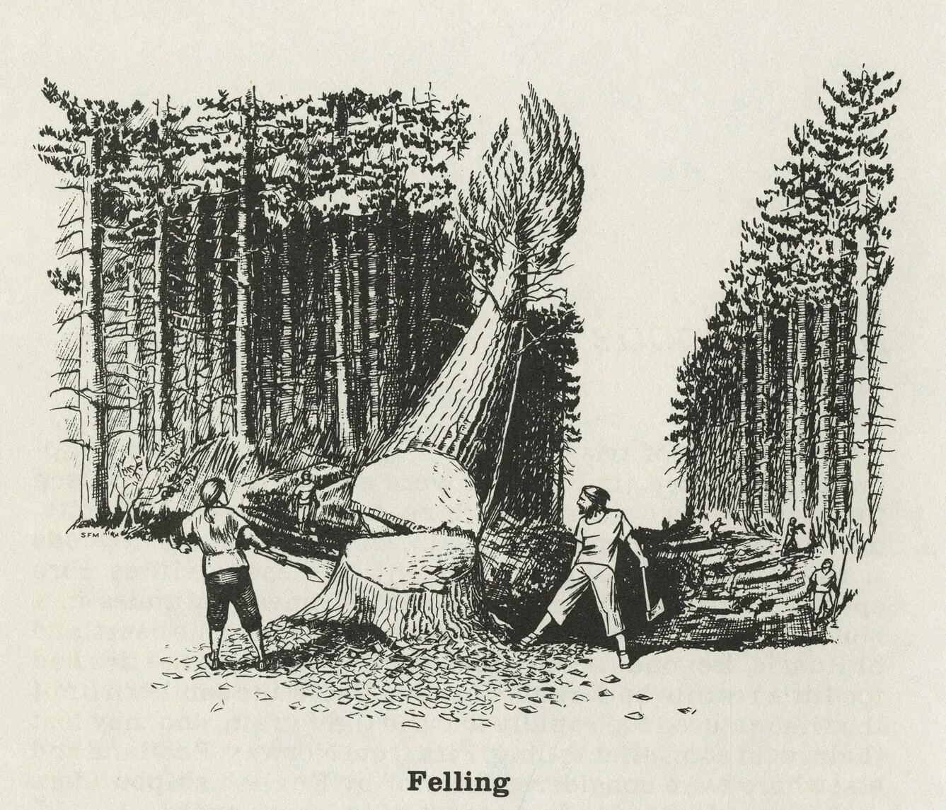 A black and white drawing of two men watching a tree with a cut trunk fall to the ground. Both men hold axes in their hands. The tree falls away from the viewer into a clearing lined with tall trees. The title of the drawing, located centered along the bottom border, reads "Felling."