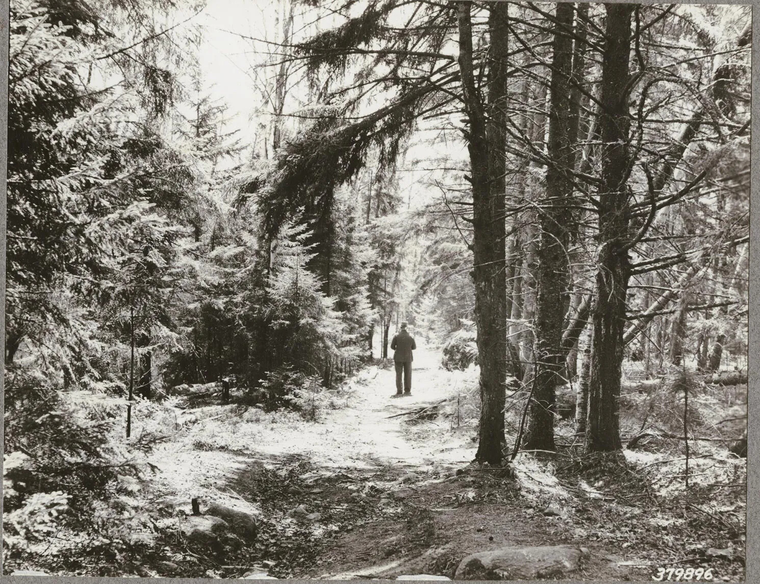 A black and white photograph of a person standing on a path in the middle of a forested area.