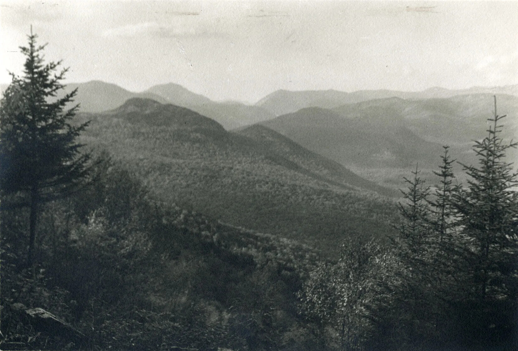 A black and white photograph of a mountain region.The forefront of the photograph is framed with tall pine trees.