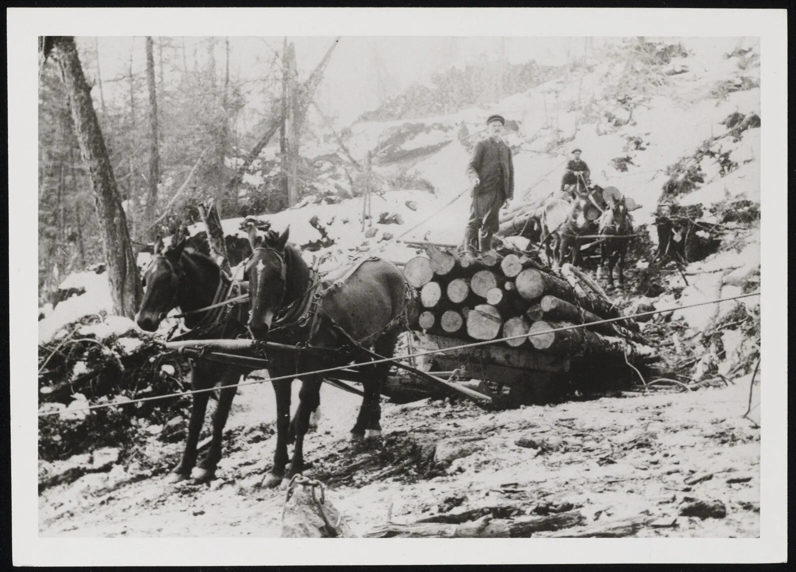 The black and white photograph shows two teams of horses pulling logs in make-shift sleighs.  In the foreground, two horses pull a man standing on top of a pile of logs, and in the background to the right, another man squats on a pile of logs as he drives his two horses.  The horses pull their sleighs through an open area of forest.  The downhill path is on uneven, snow-covered ground and moves around the remaining forested sections to provide a clear road.  The ground and surrounding forest is covered in a layer of snow.