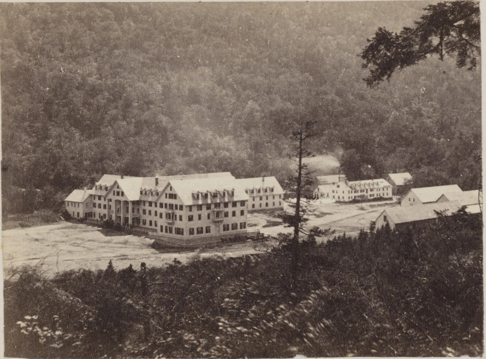 A black and white photograph of several buildings surrounded by trees. All of the buildings are three or four stories tall. 