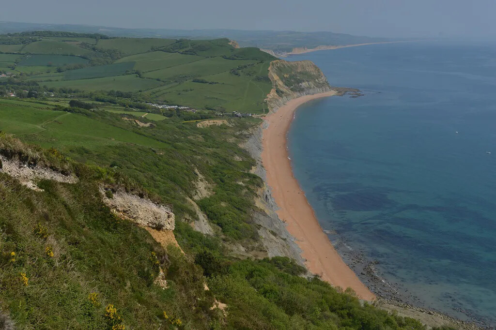 A colored photograph of the coastline of a body of water. The shore of the coastline is covered in sand and is bordered by a rocky cliffside. The top of the cliff is covered in green grass.