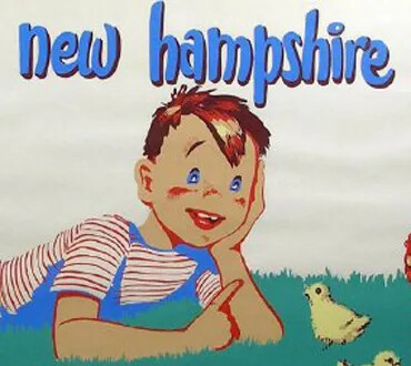Cartoon image of Chippa, the Moose mascot, smiling and lying on the grass with chicks, under the text “New Hampshire.”