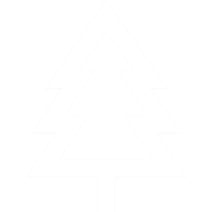 White silhouette of a pine tree icon on a transparent background