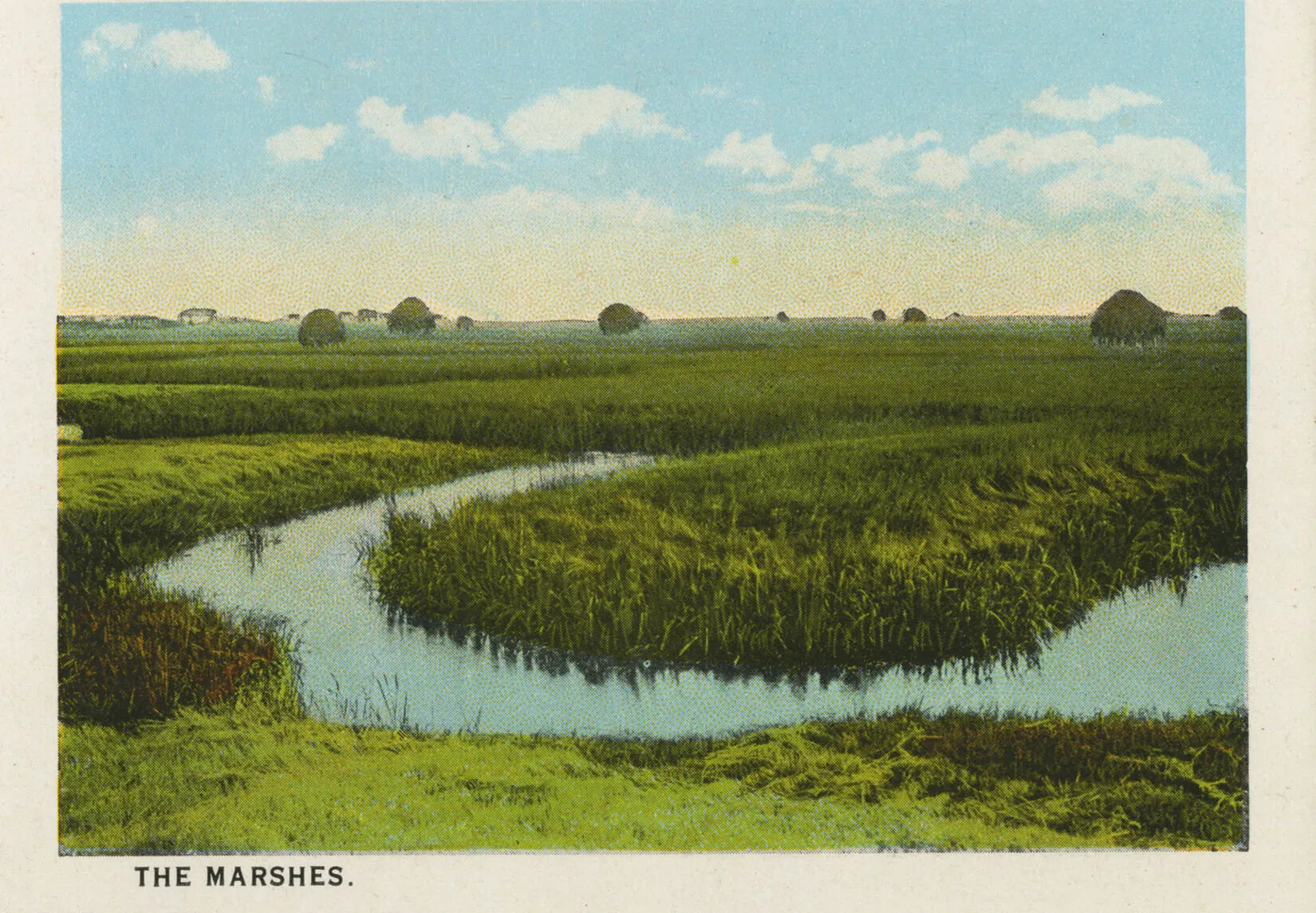 A colored postcard of green marshland, with a small stream of water running through it. The words "THE MARSHES" are typed in black ink in the lower left-hand corner of the postcard.