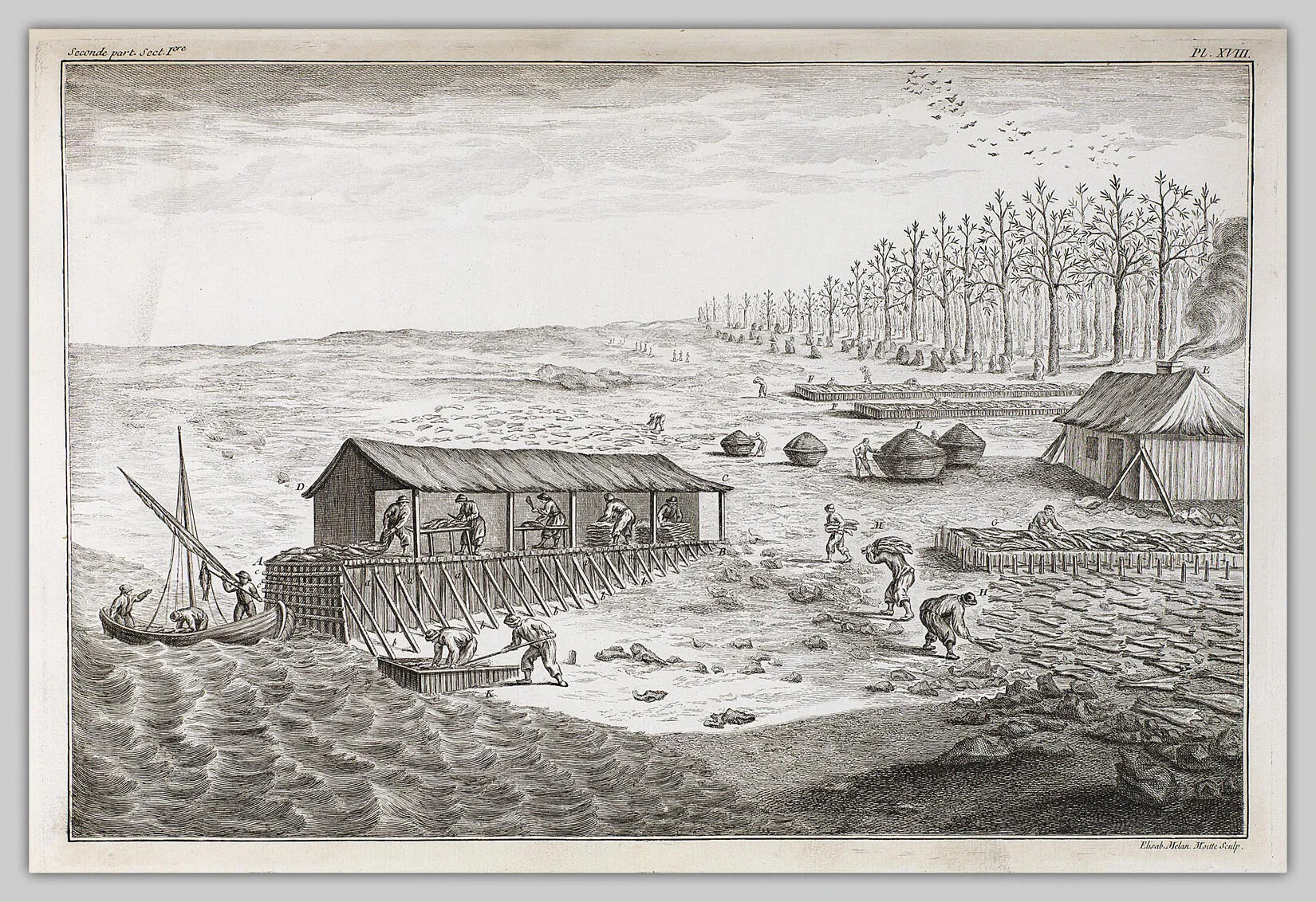 workers in the fields