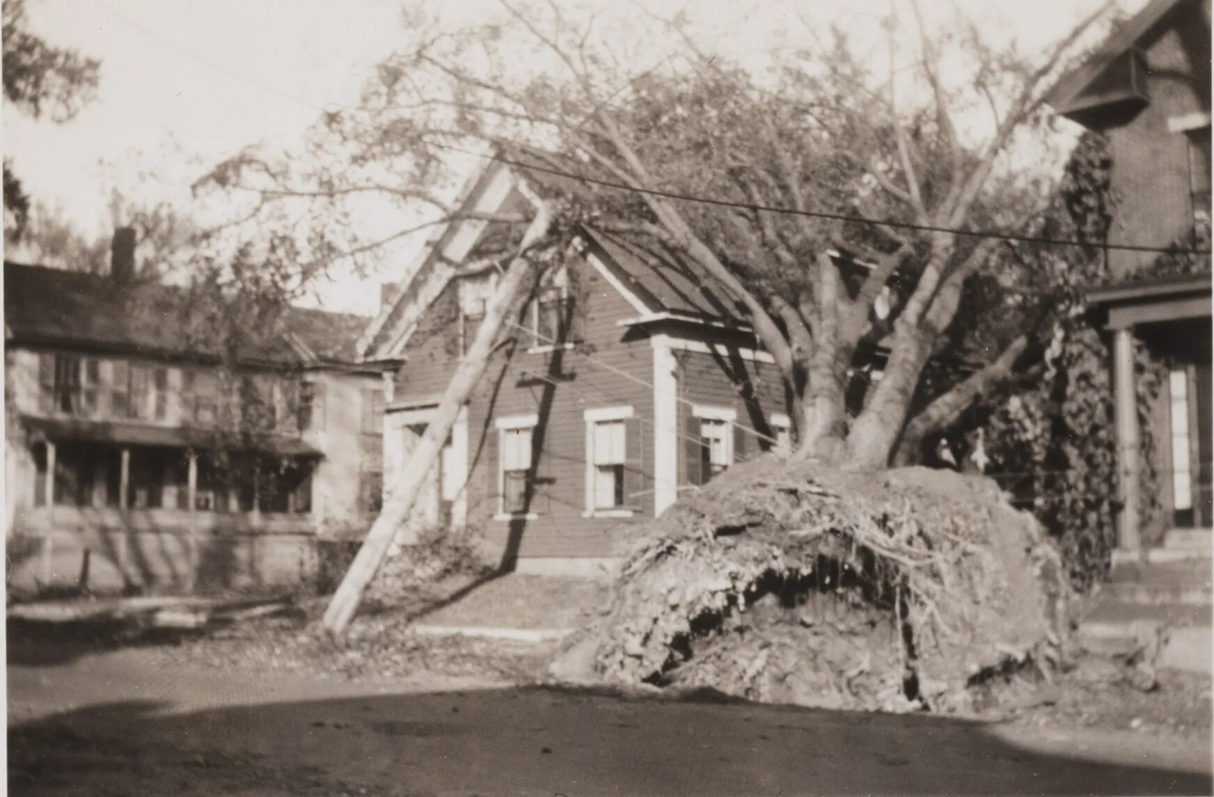 A black and white photograph of a large uprooted tree and power line, which rest against a two-storied house.