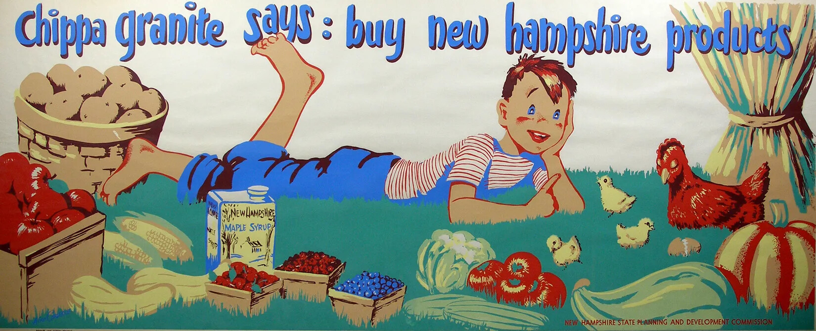 Poster illustration of a smiling boy named Chippa Granite lying in a field surrounded by New Hampshire farm products.
