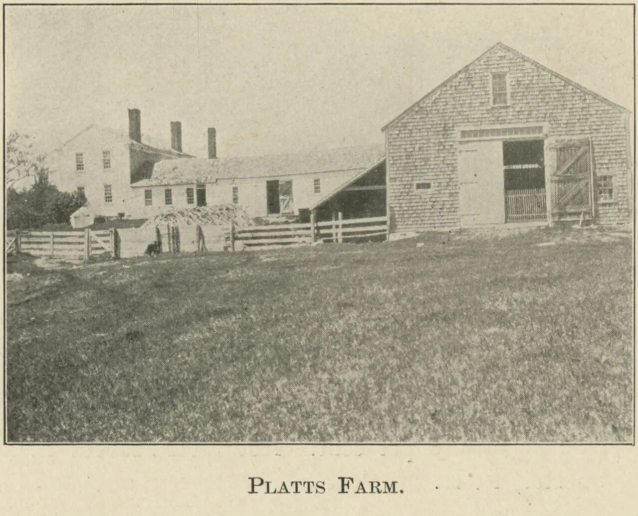 A vertical document with black text on white paper on the top half of the document, and a black and white photograph of a large barn and house with three chimneys on the bottom half. The barn faces the direction of the camera, while the house is turned sideways. The barn and house are attached by a long, one story extension of the house. There is a large field of grass in front of the barn. Centered beneath the photograph are the words "PLATTS FARM."