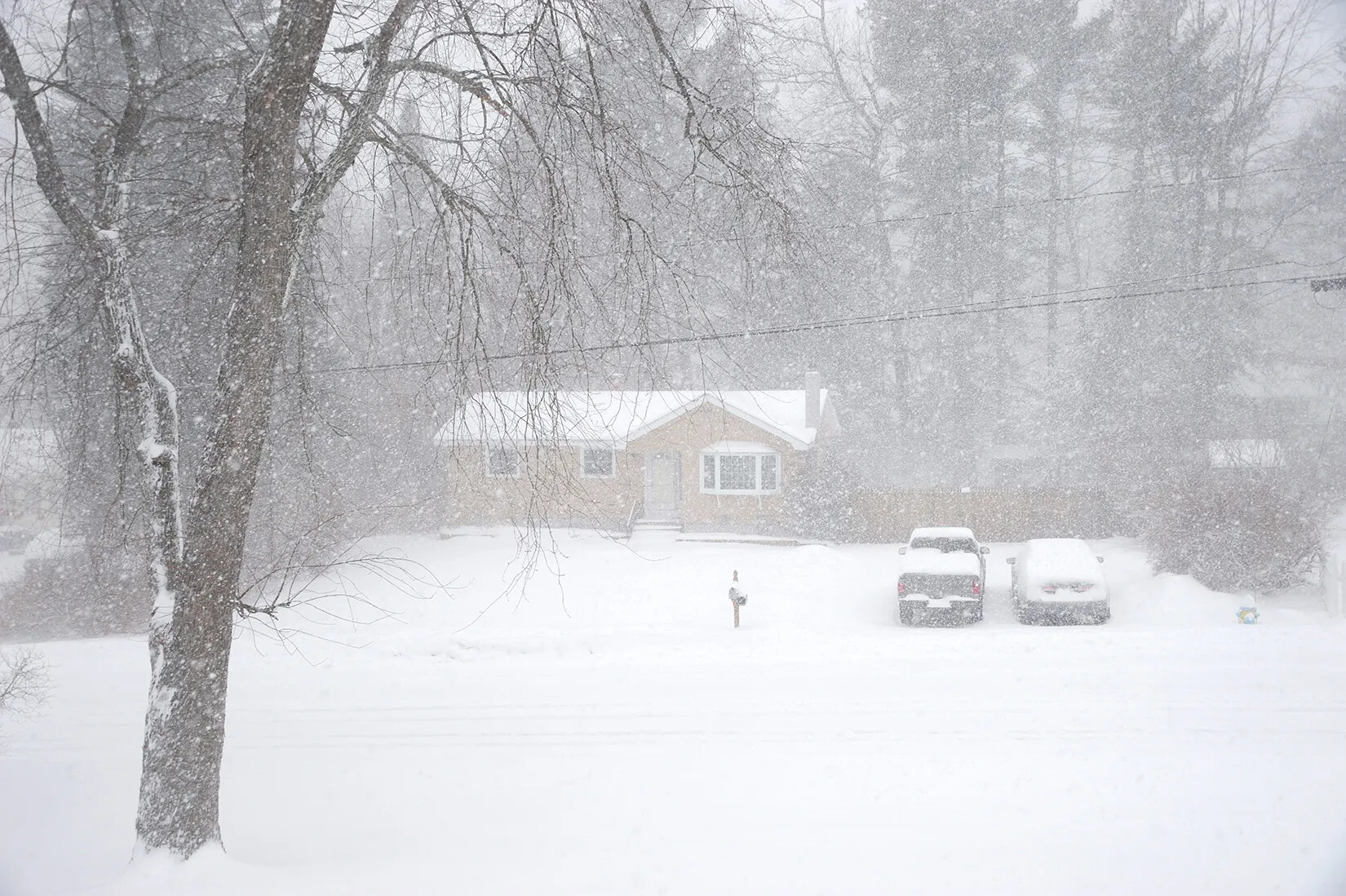 A colored photograph of a snow storm. A single-storied yellow house can be seen through the snow. Two snow-covered cars are parked in the driveway.