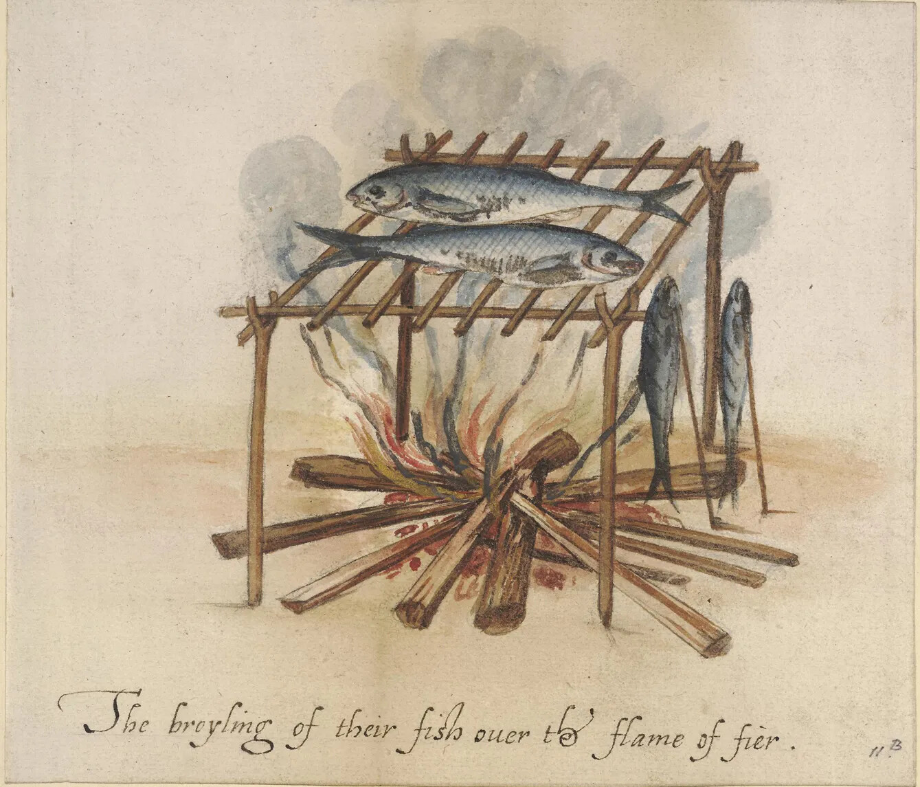 A colored drawing of two fish being grilled over a fire. The fish lay next to each other on a wooden rack, held up over the fire by four sticks. Two cooked fish are propped up on sticks to the rack's right. The title of the drawing, located along the bottom border, reads "The broyling of their fish ouer the flame of fier."
