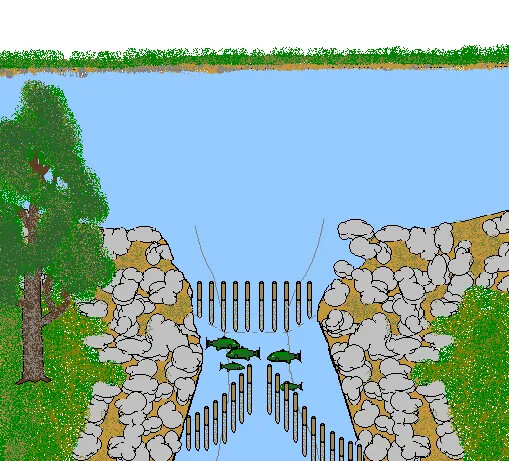 A colored drawing of a large body of water that exits into a small stream. The stream is lined with rocks and green grass. The entrance and exit of the stream is blocked by two sets of wooden posts. The set of posts at the top of the stream are lined up horizontally. The posts towards the bottom of the stream are curved on two sides, leaving a very small opening at its center. A group of green fish rest in between the two sets of posts.