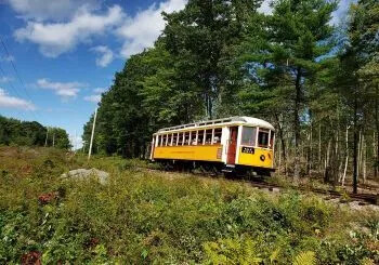 Vintage yellow trolley car traveling through a wooded area under a blue sky.
