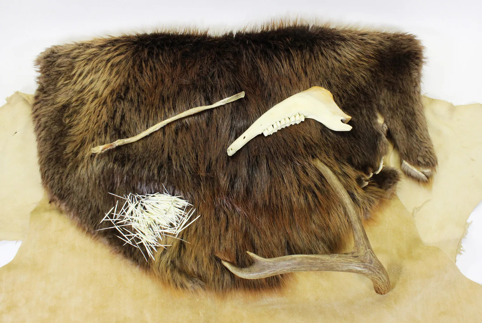 A collection of dark and light colored furs, animal parts, antlers, and porcupine quills.