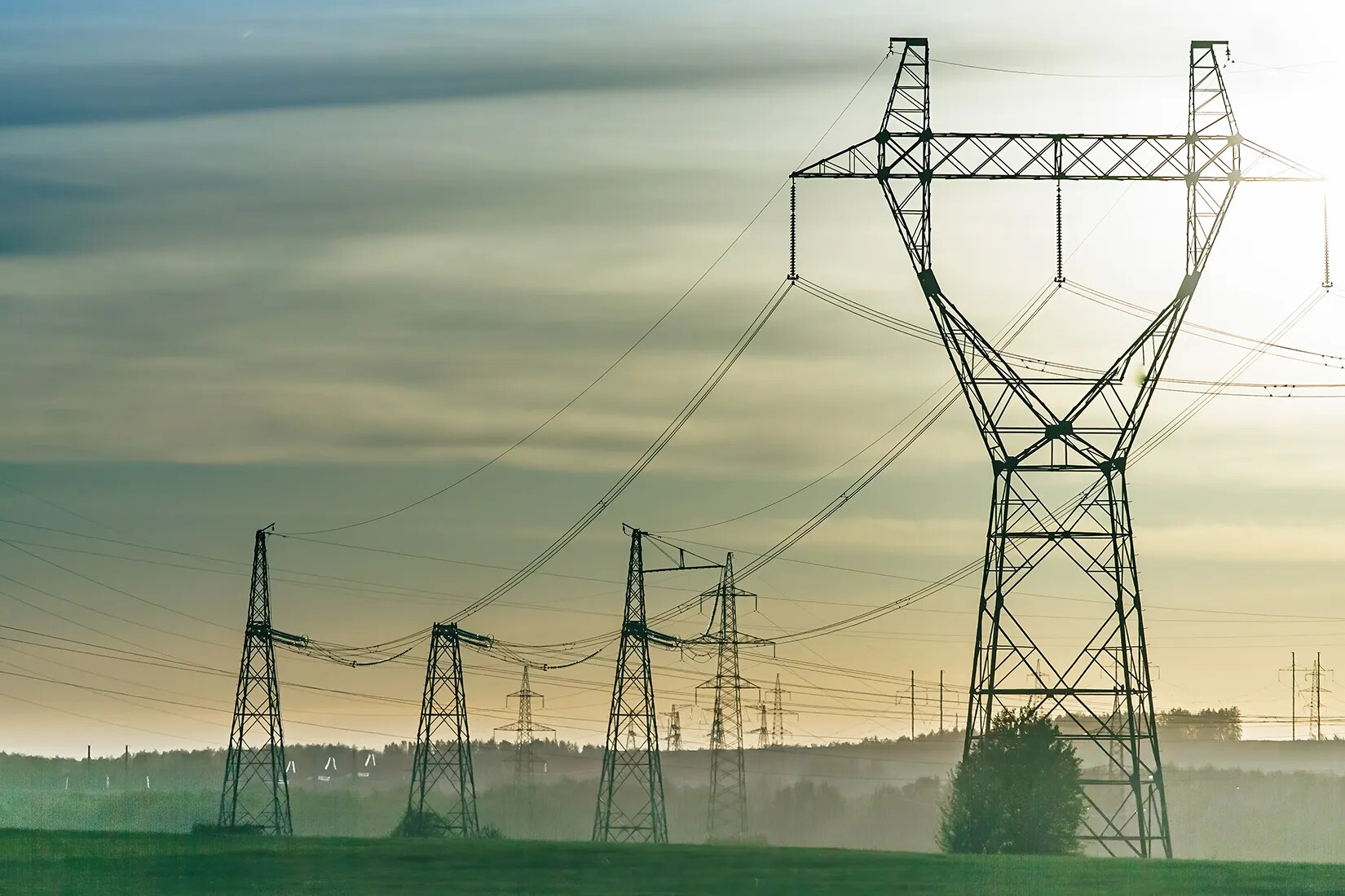 A colored photograph of several wire towers scattered across a large field.