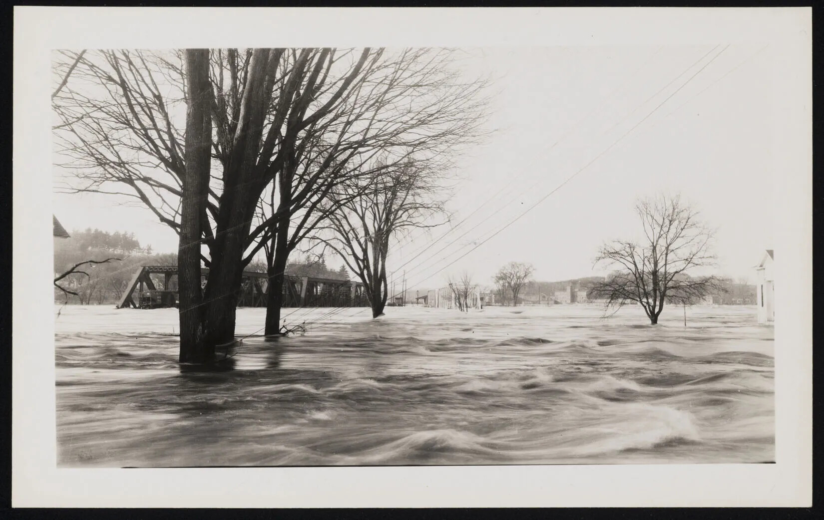A black and white photograph of several trees and a bridge sunk deep in water.