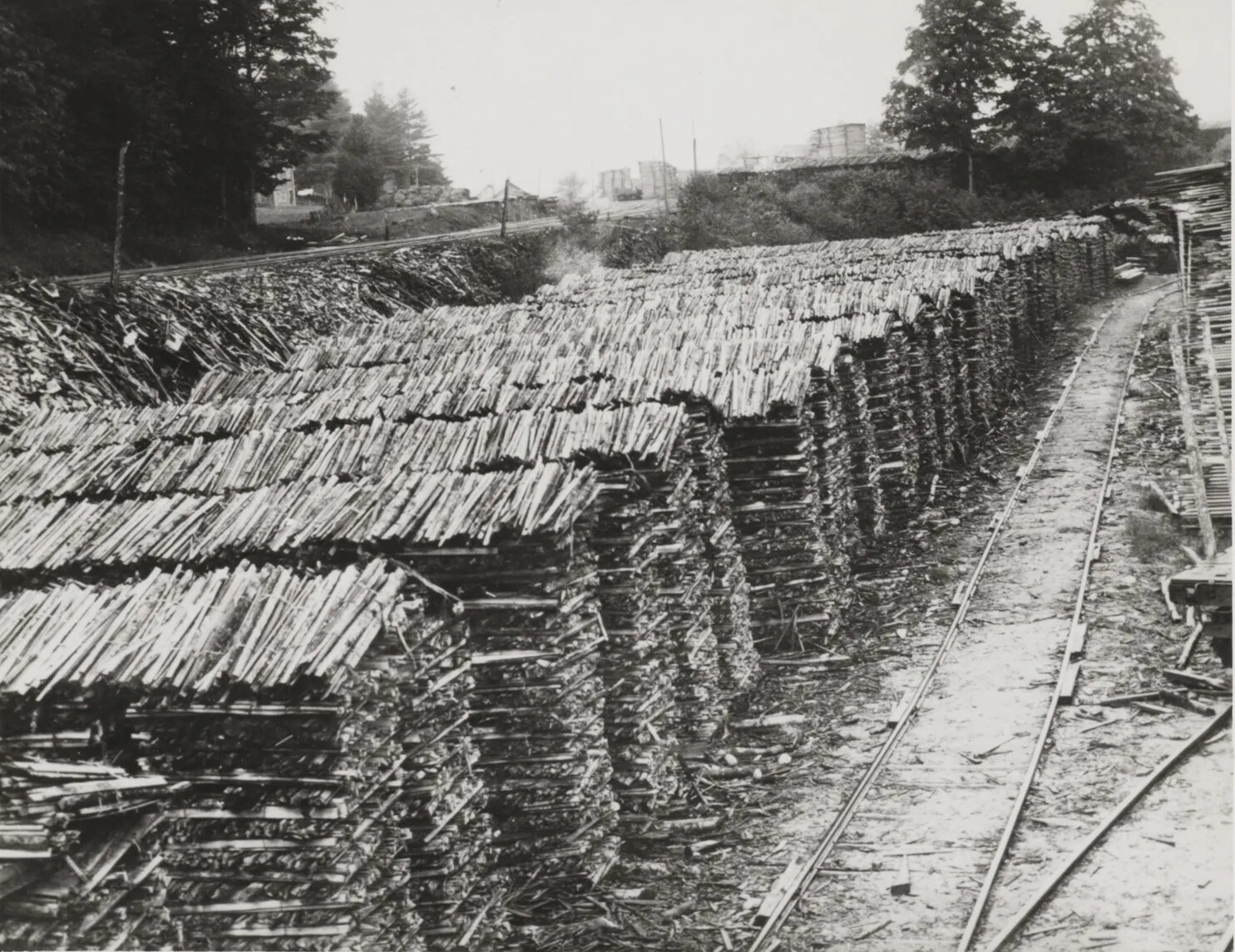 A black and white photograph of a column of organized piles of cut wood, placed to the left of a railroad track.