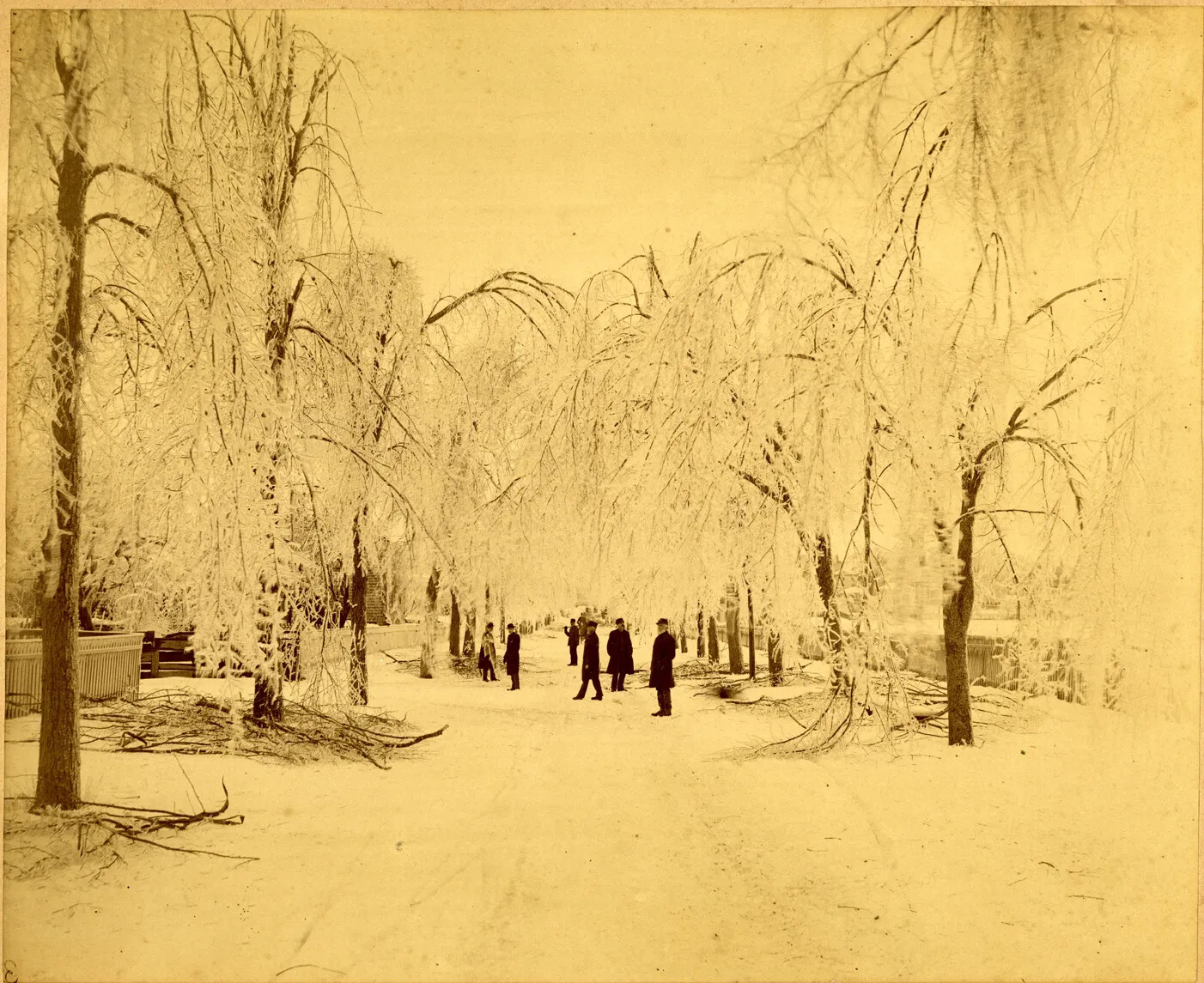 A yellowed-black and white photograph of several people walking along a snow-covered road, surrounded by fallen branches and bent trees covered in ice and snow. The words "VIEWS OF ICE-STORM AT PORTSMOUTH, N. H./THURSDAY AND FRIDAY, JANUARY 28TH AND 29TH, 1886.", typed in black ink, are centered along the bottom border of the photograph. To the left of this, the words "Photo. BY L.V. NEWELL 7 CO., PORTSMOUTH, N.H." are typed in black ink in the lower left-hand corner.