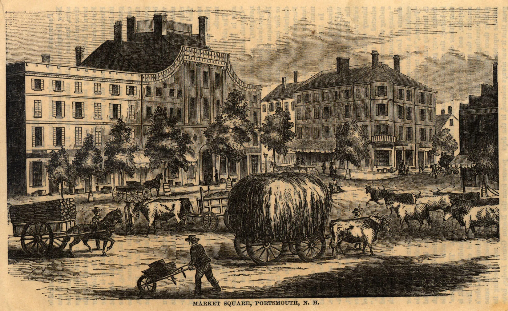 A yellowed piece of paper with a black and white sketch. The sketch shows two buildings, each four-stories tall, with one building facing the street in the foreground, and one positioned along the side street to the right. The streets and sidewalks in front of the buildings are lined with trees, and a few people are walking along them. The street in the foreground, from left to right, contains a horse-drawn carriage pulling logs, a man pushing a wheelbarrow, two sets of cattle pulling carts of hay, and various cattle roaming free. Typed text to the left of the sketch, along the border, reads “Portsmouth, N. H./415”.